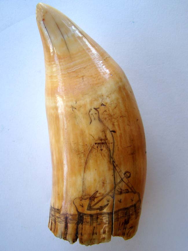 An American 19th century scrimshawed Whale's Tooth with depictions of COLUMBIA and HOPE circa 1840.